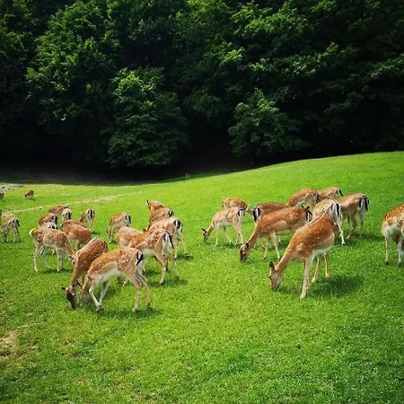 Romeo & Julija, Near Terme Olimia, Free Parking Apartmán